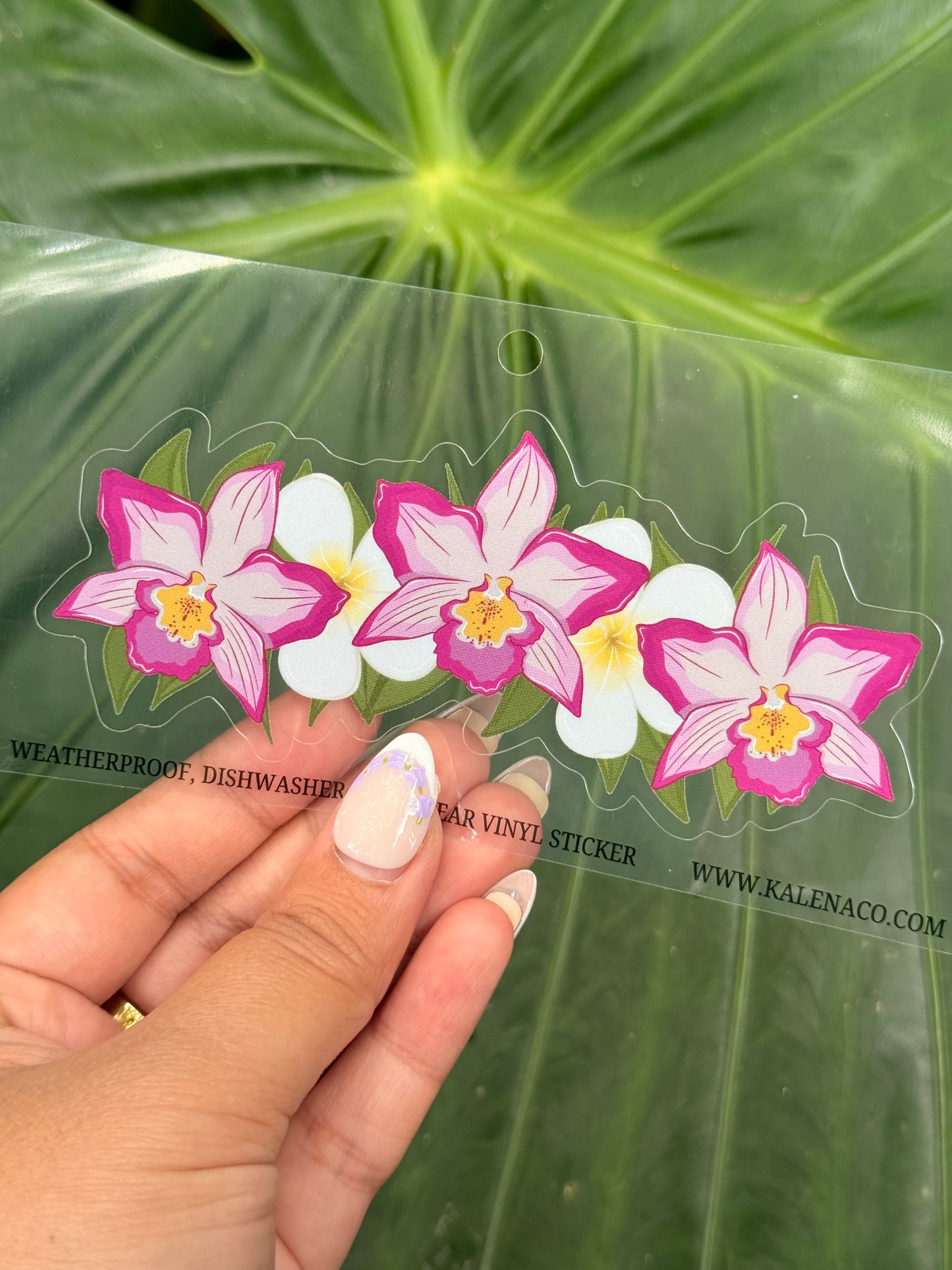 Clear Vinyl Weatherproof sticker