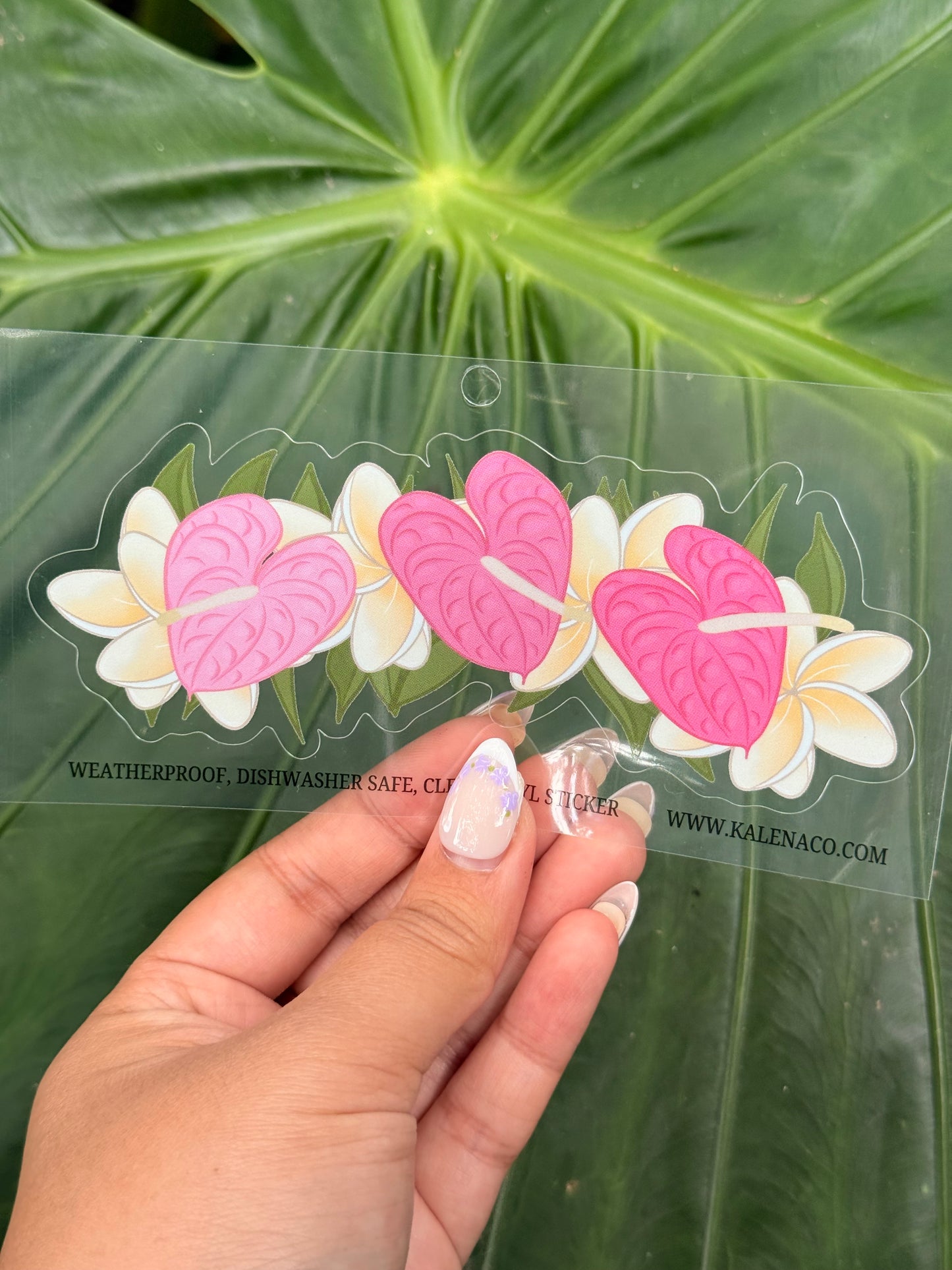 Clear Vinyl Weatherproof sticker