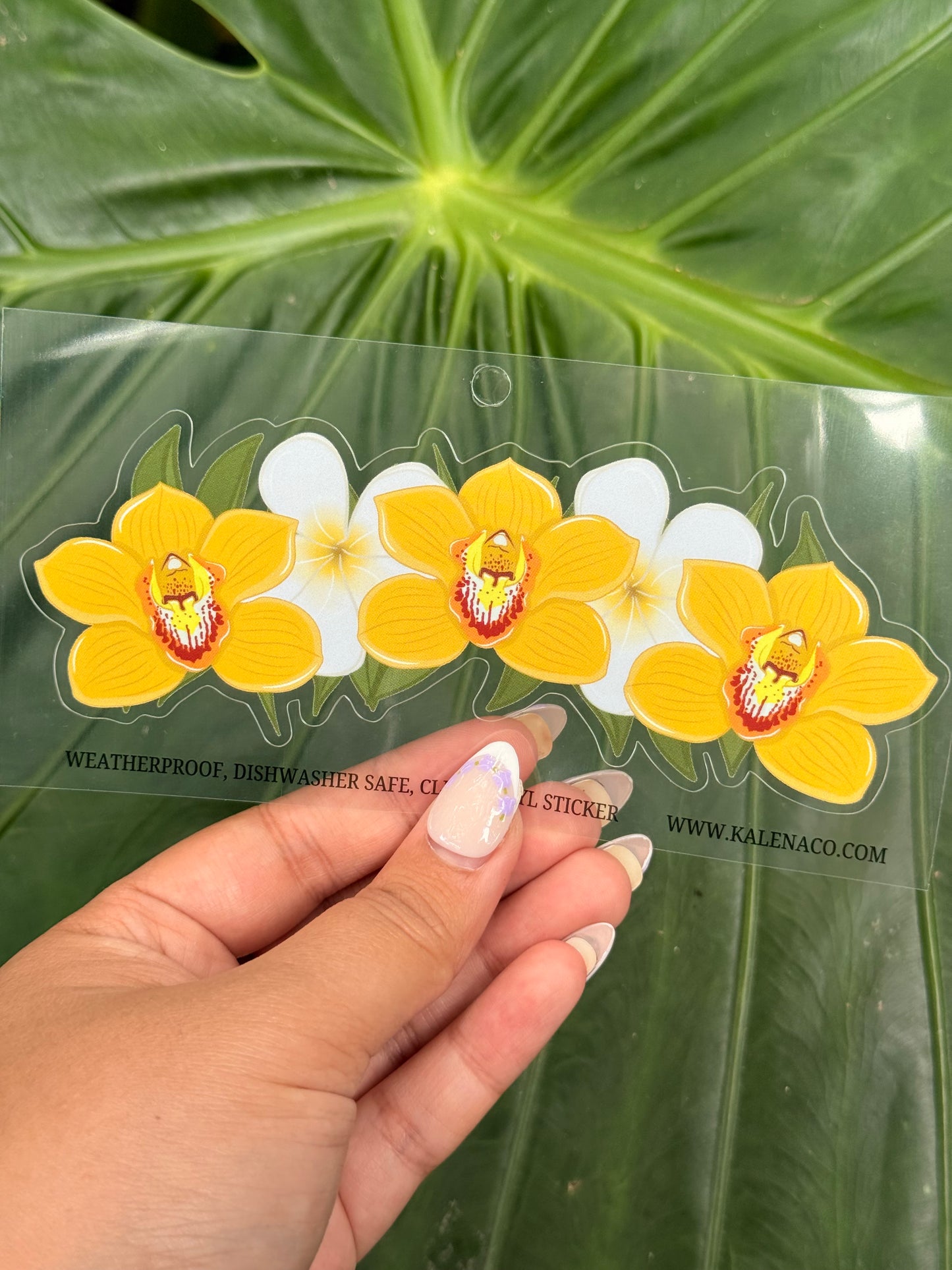 Clear Vinyl Weatherproof sticker
