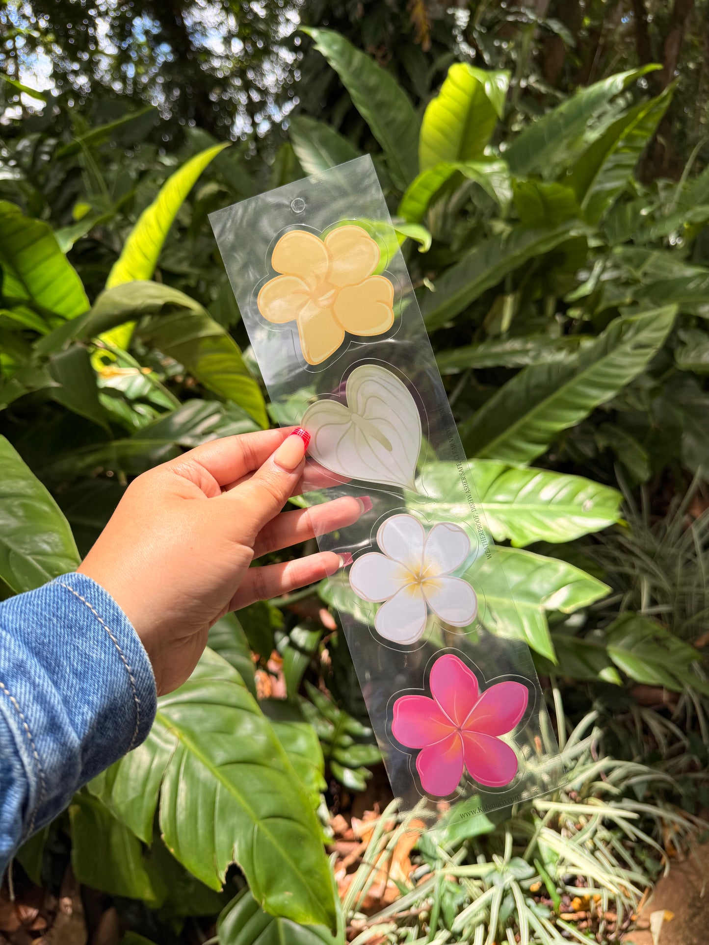 Clear Vinyl Weatherproof sticker